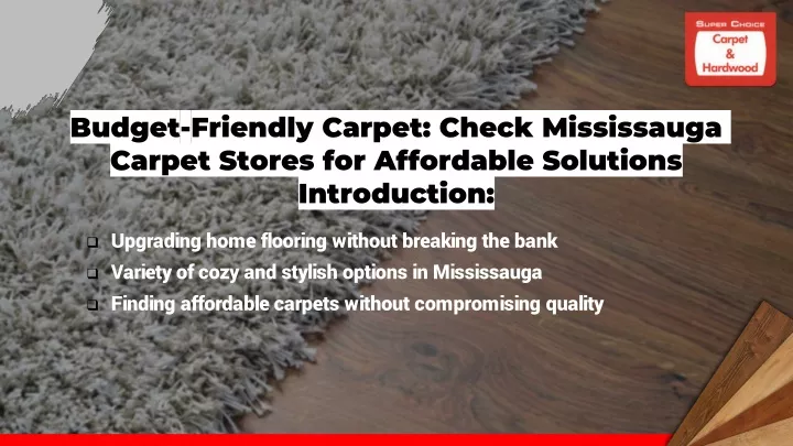 budget friendly carpet check mississauga carpet