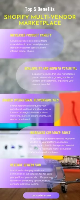 Top 5 Benefits of Shopify Multi-Vendor Marketplace