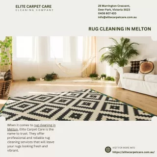 elite carpet care c l e a n i n g c o m p a n y