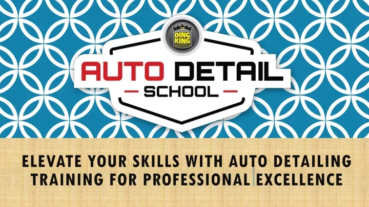 elevate your skills with auto detailing training for professional excellence