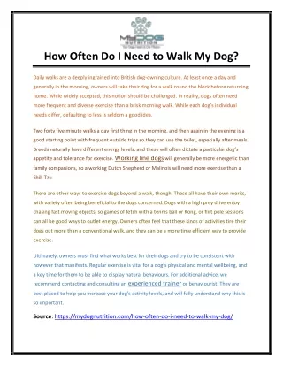 How Often Do I Need to Walk My Dog