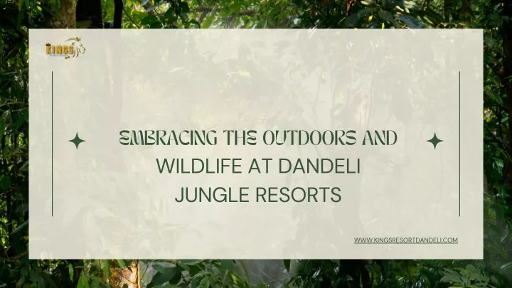 embracing the outdoors and wildlife at dandeli