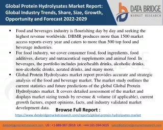 Protein Hydrolysates Market – Industry Trends and Forecast to 2029
