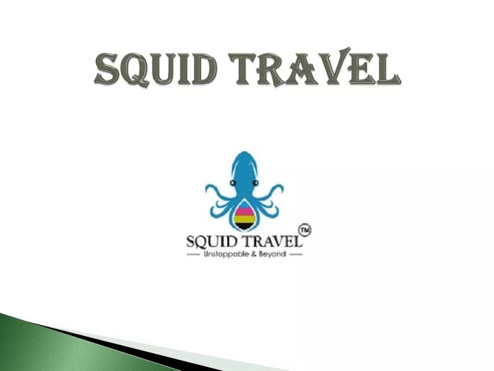 squid travel