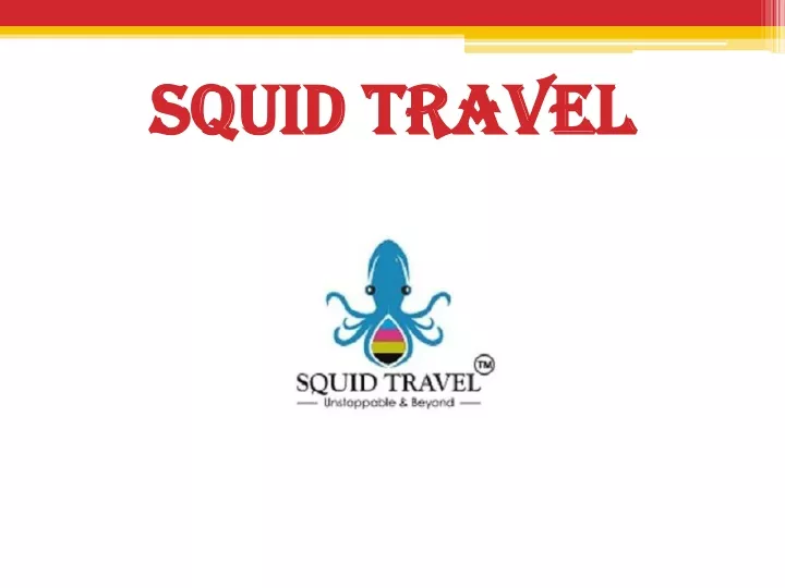 squid travel