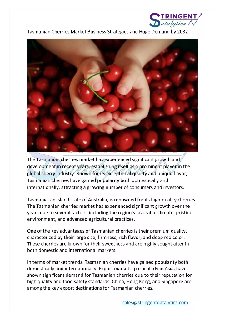 tasmanian cherries market business strategies