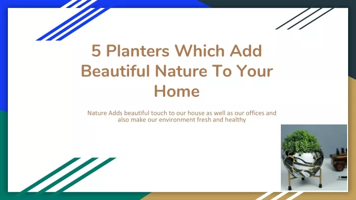 5 planters which add beautiful nature to your home