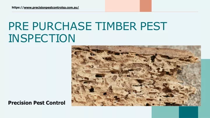 pre purchase timber pest