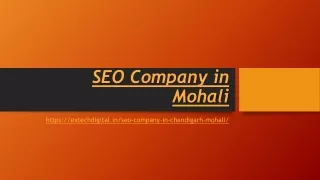 SEO Company in Mohali