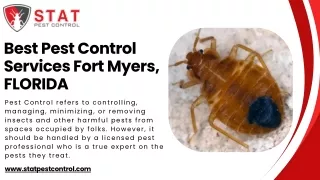 Pest Control Services Fort Myers | Stat Pest Control