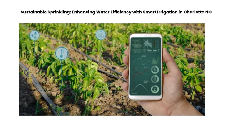 sustainable sprinkling enhancing water efficiency