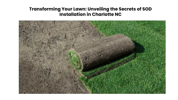 transforming your lawn unveiling the secrets