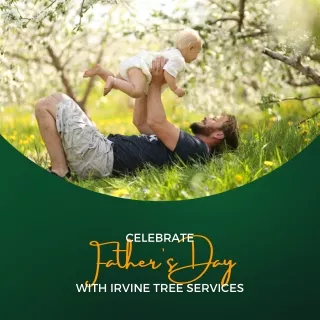 Celebrate Father’s Day with Irvine Tree Services