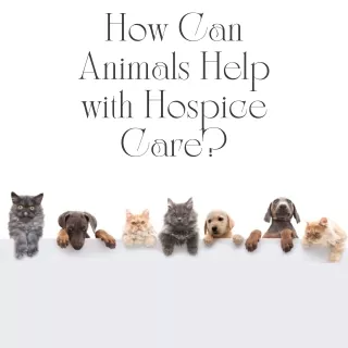 How Animals Can Provide Support in Hospice Care