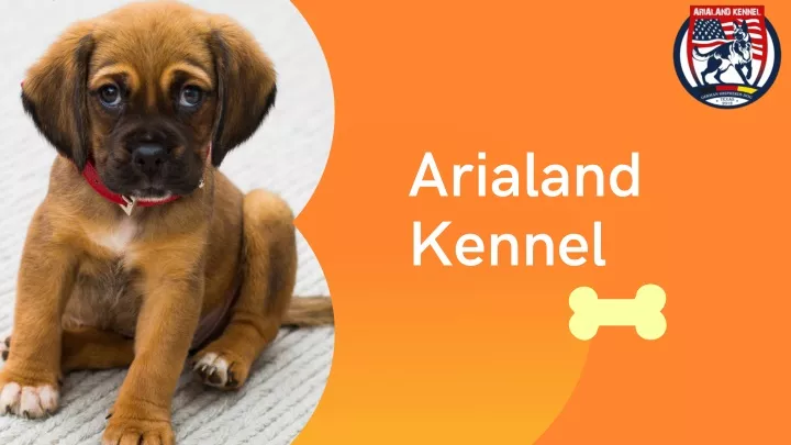 arialand kennel