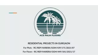 RESIDENTIAL PROJECTS IN GURGAON - ACE PALM FLOORS