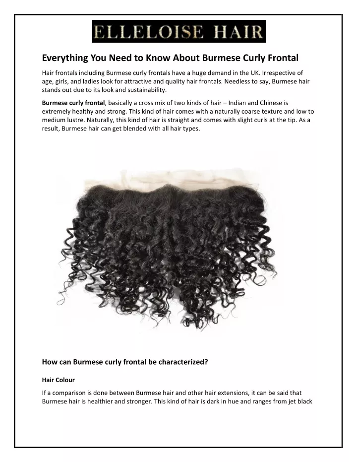 everything you need to know about burmese curly