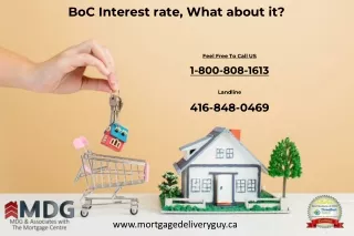 boc interest rate what about it