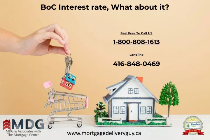 boc interest rate what about it