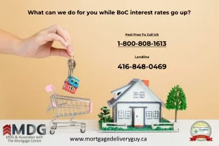what can we do for you while boc interest rates