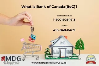what is bank of canada boc