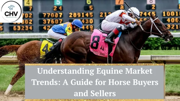 understanding equine market trends a guide