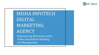 Misha Infotech is a digital marketing agency & IT Consulting Company.