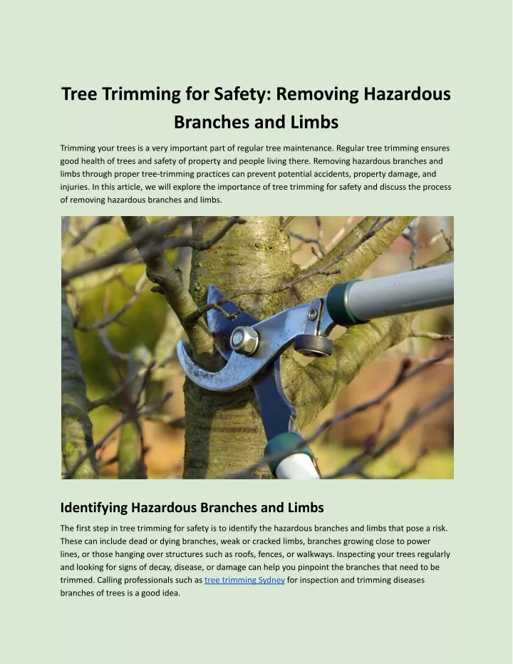 tree trimming for safety removing hazardous