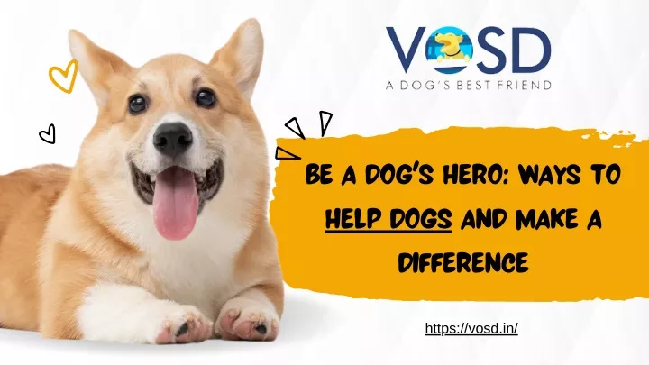 be a dog s hero ways to help dogs and make