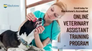Enroll today for Blackstone’s Accredited Online Veterinary Assistant Training