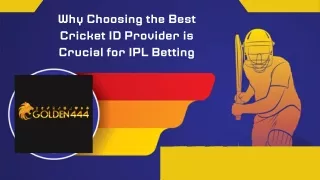 Why Choosing The Best Cricket ID Provider Is Crucial For IPL Betting