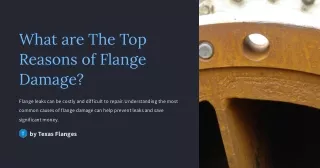 What are The Top Reasons of Flange Damage