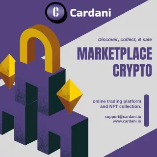 Cardani.io - Empowering Your Financial Potential through Online Trading