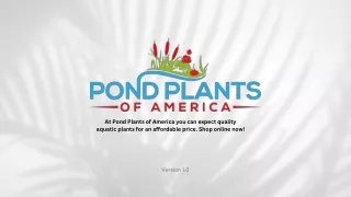 Pond Plants of America