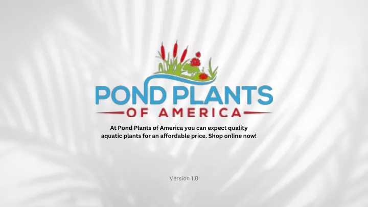 at pond plants of america you can expect quality