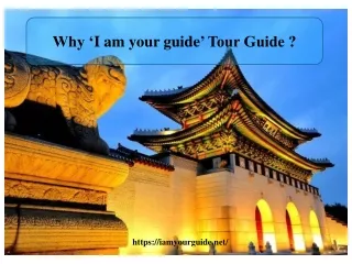 Why ‘Iamyourguide’ Tour Guide
