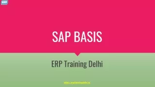 SAP BASIS Course in Delhi