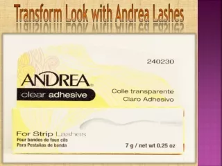 Transform Look with Andrea Lashes