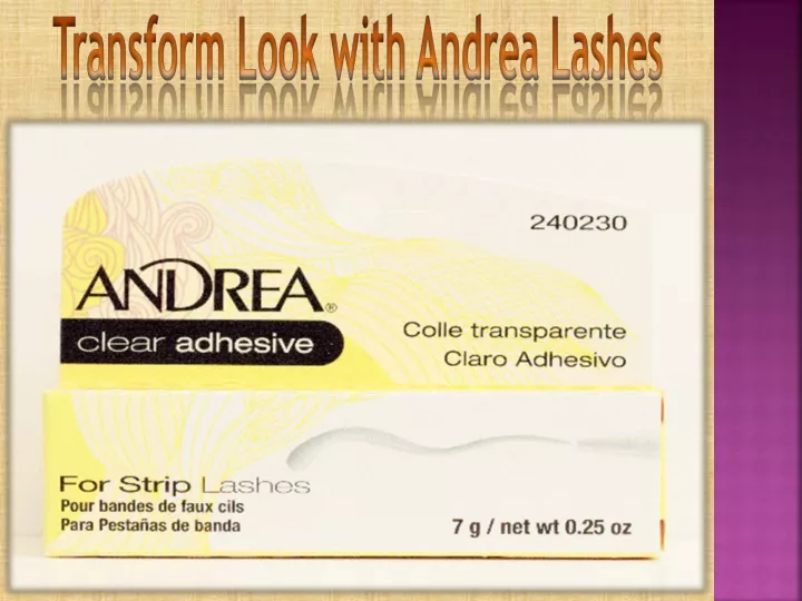 transform look with andrea lashes