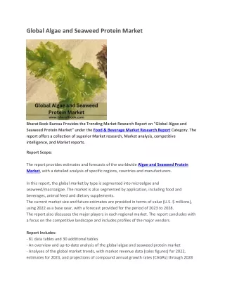 global algae and seaweed protein market