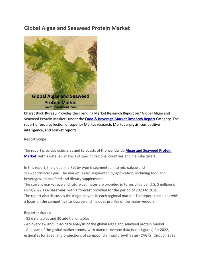 global algae and seaweed protein market