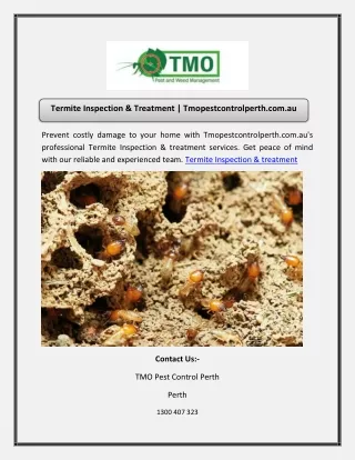 Termite Inspection & Treatment | Tmopestcontrolperth.com.au