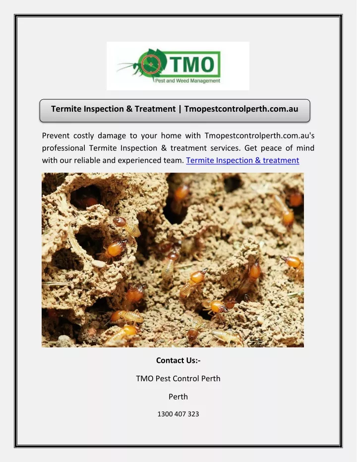 termite inspection treatment tmopestcontrolperth