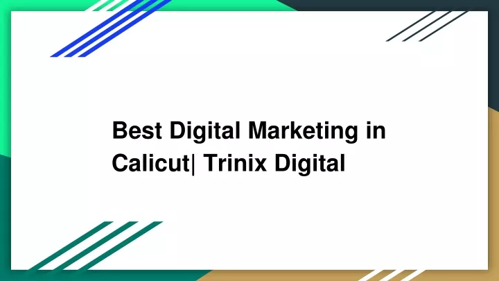 best digital marketing in calicut trinix digital