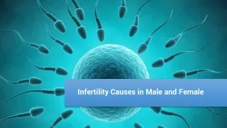 Infertility Causes in Male and Female