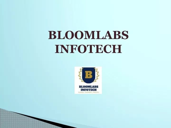 bloomlabs infotech