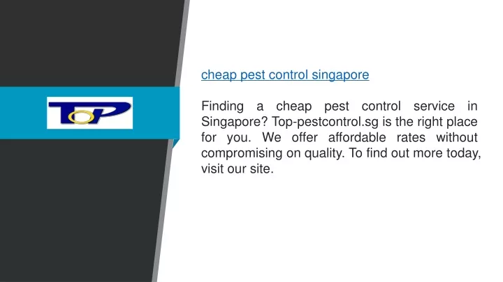 cheap pest control singapore finding a cheap pest