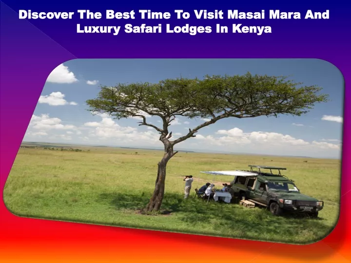 discover the best time to visit masai mara