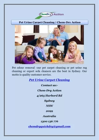Pet Urine Carpet Cleaning | Chem-Dry Action