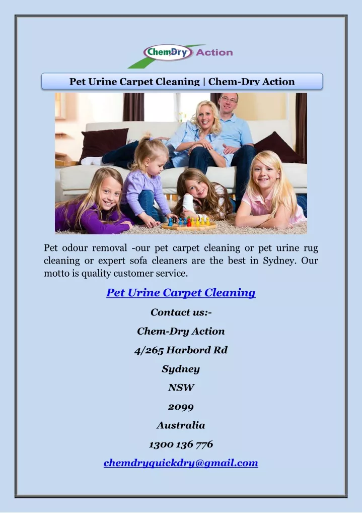 pet urine carpet cleaning chem dry action